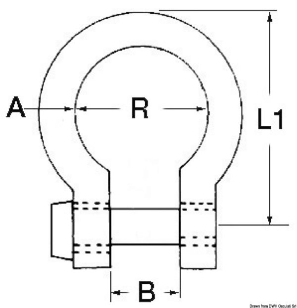 Stainless Bow shackles